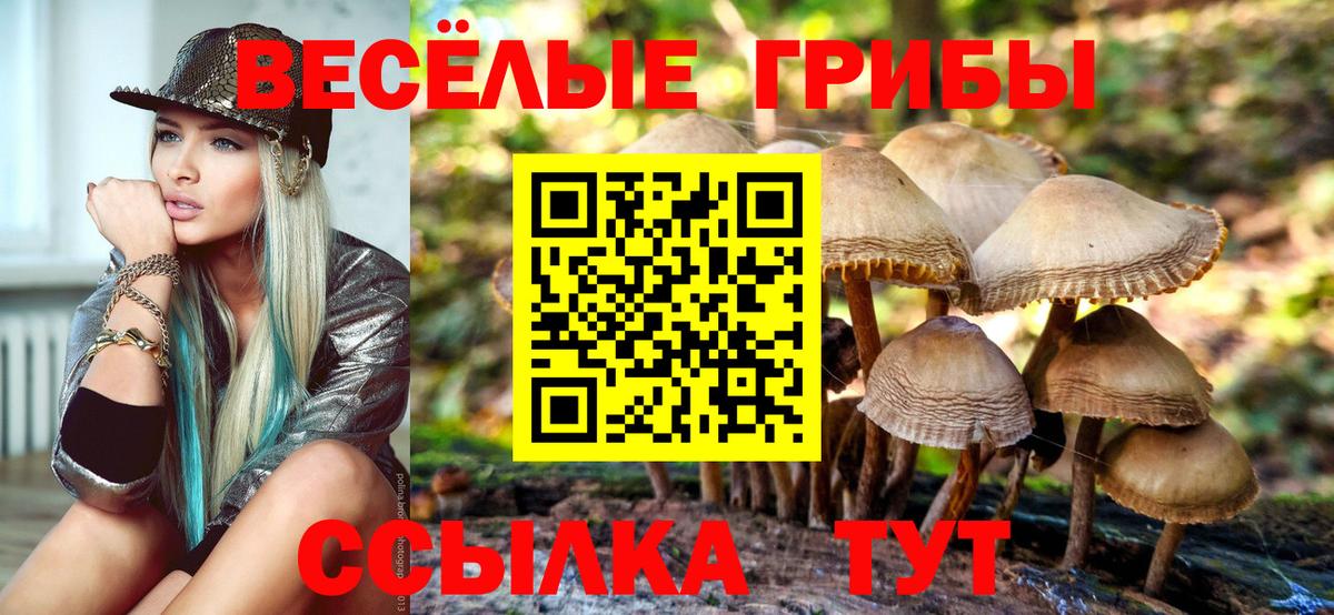 Псилоцибиновые грибы мухоморы Алексин