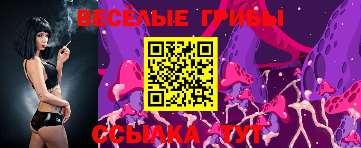 Алексин  Псилоцибиновые грибы мухоморы  Псилоцибиновые грибы GOLDEN TEACHER  Вход с VPN 