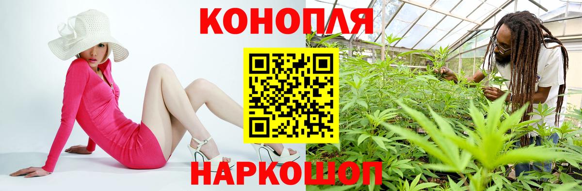 Бошки марихуана конопля Алексин